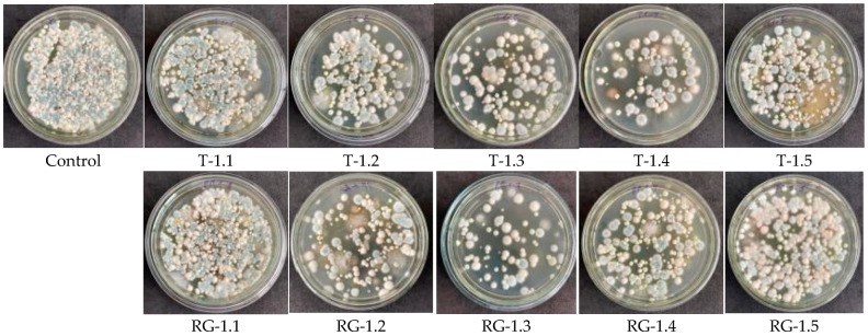 Figure 5