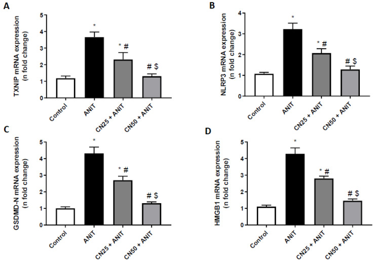 Figure 6