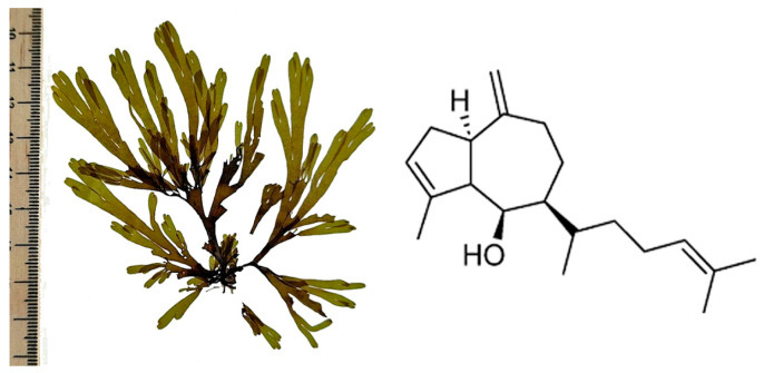 Figure 10