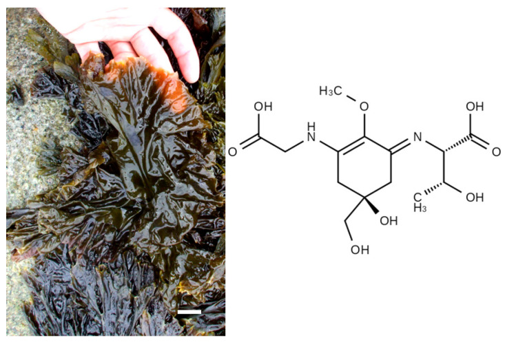 Figure 16