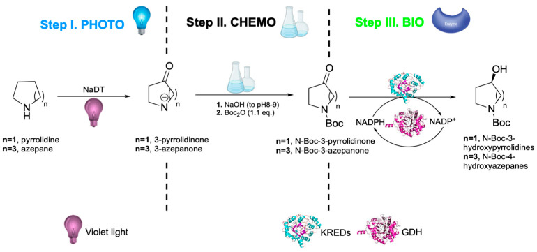 Figure 10