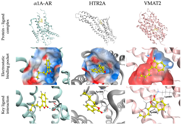 Figure 11