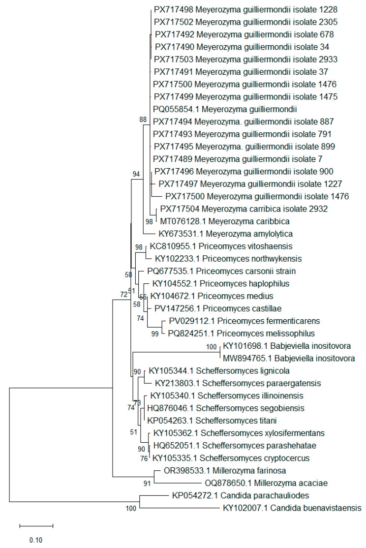 Figure 1