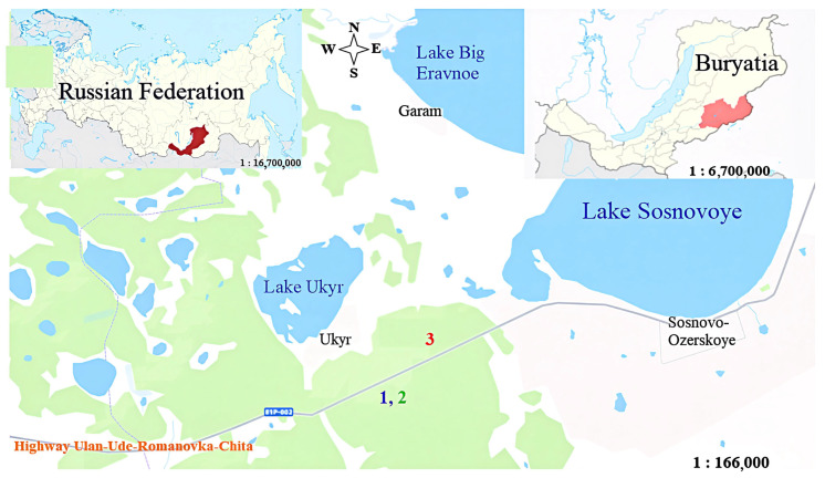 Figure 6