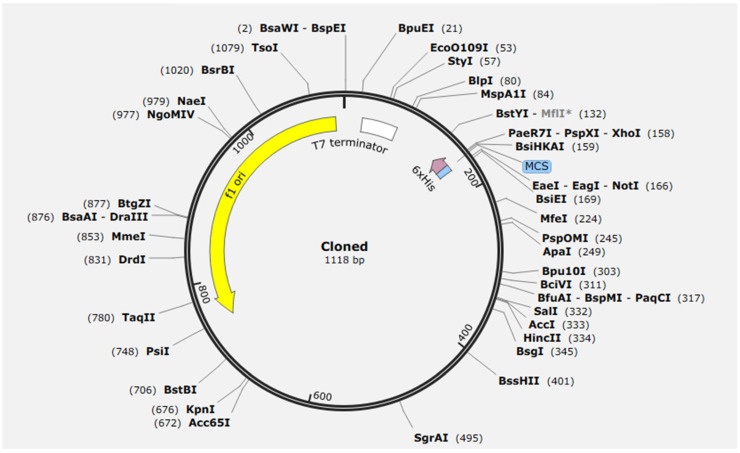 Figure 12