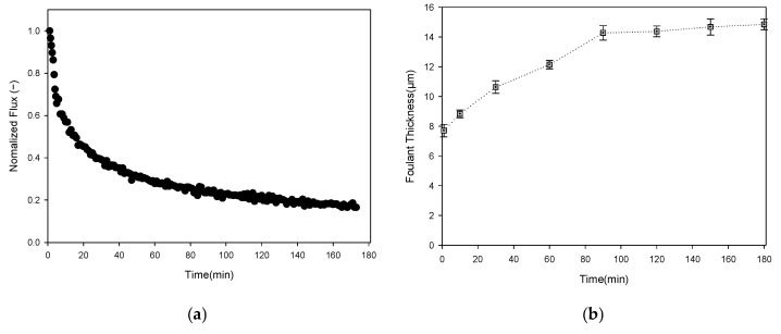 Figure 15