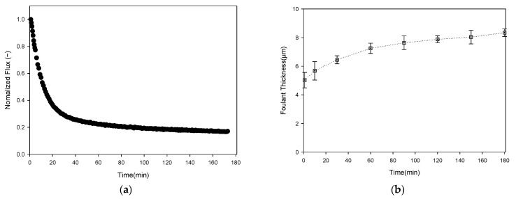 Figure 17
