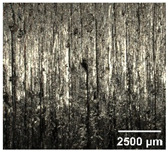 Figure 29