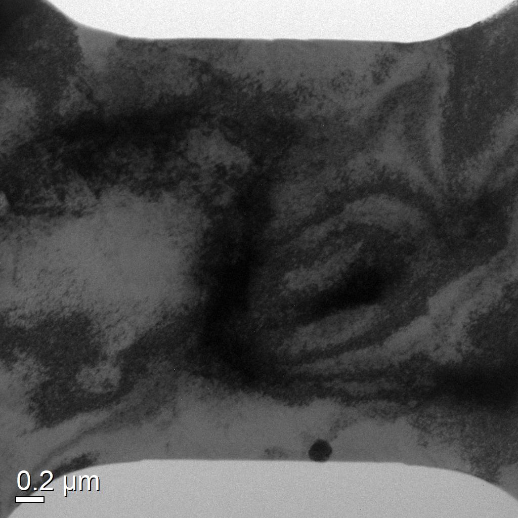 Figure 32