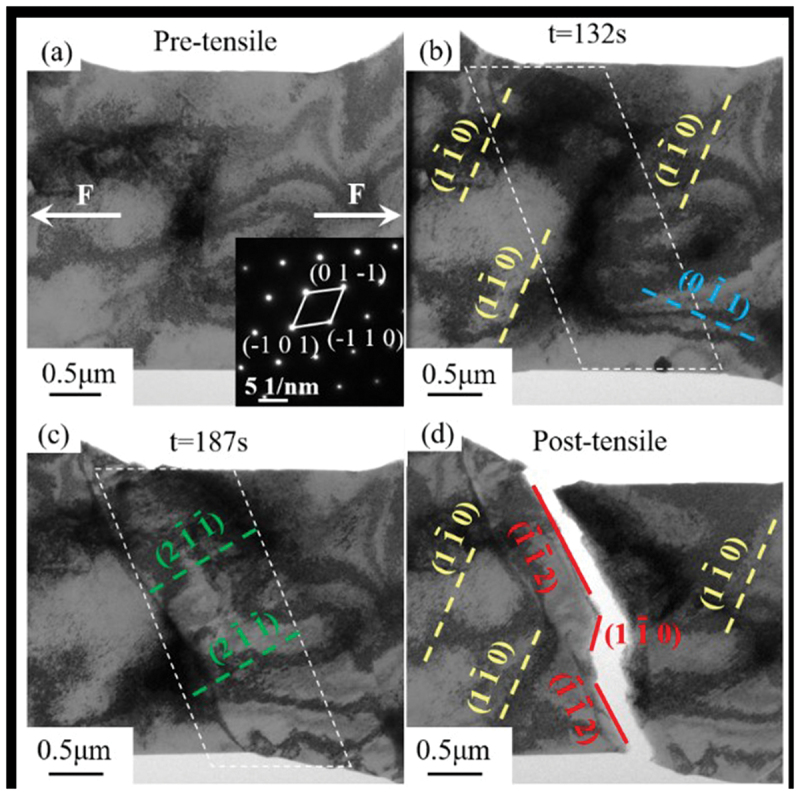 Figure 33