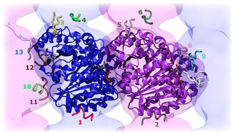 Figure 2