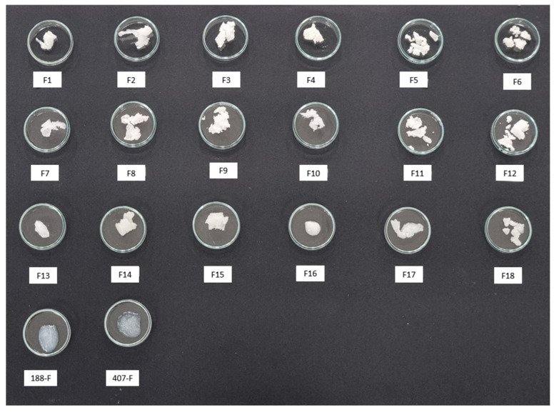Figure 13