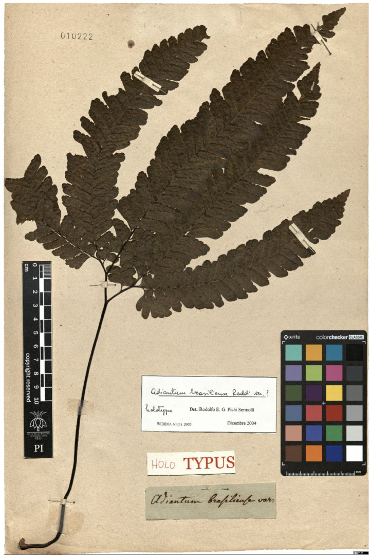 Figure 10