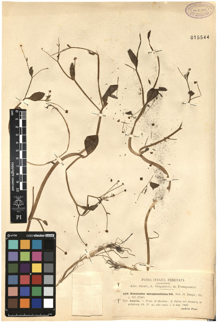 Figure 12