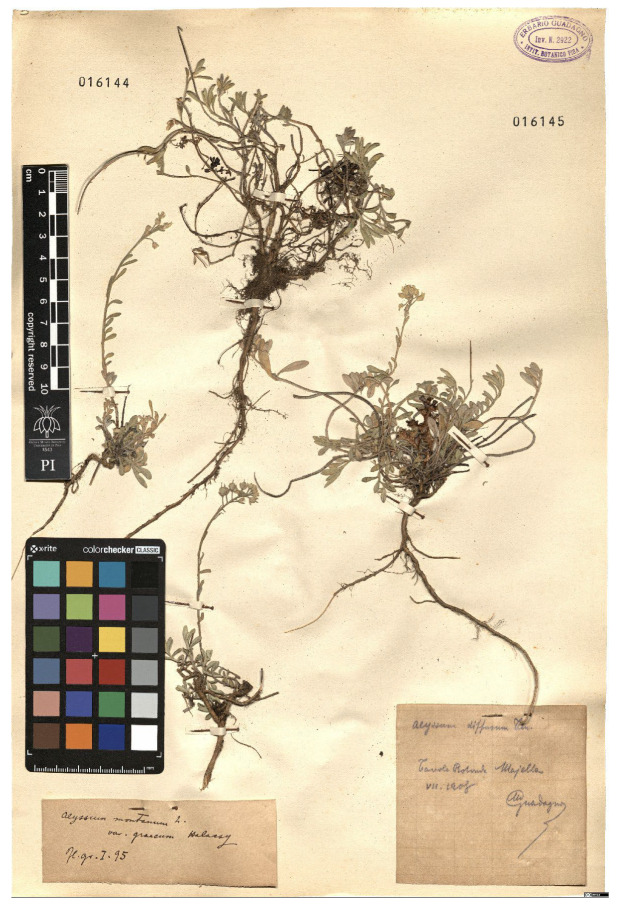 Figure 16
