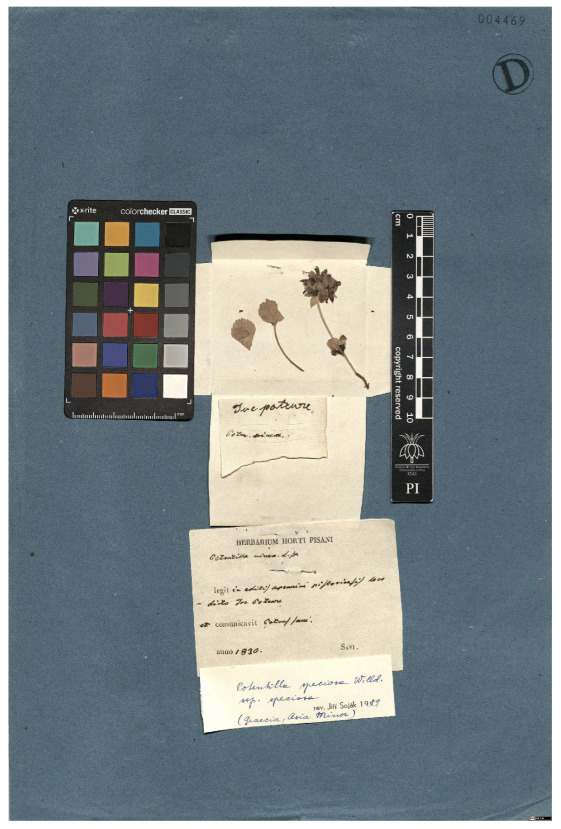 Figure 19