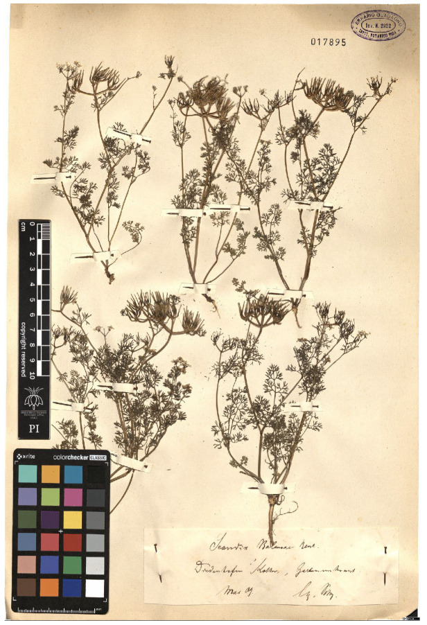 Figure 22