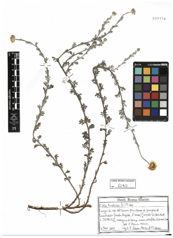 Figure 25