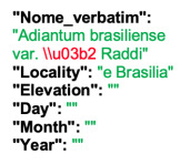 Figure 29