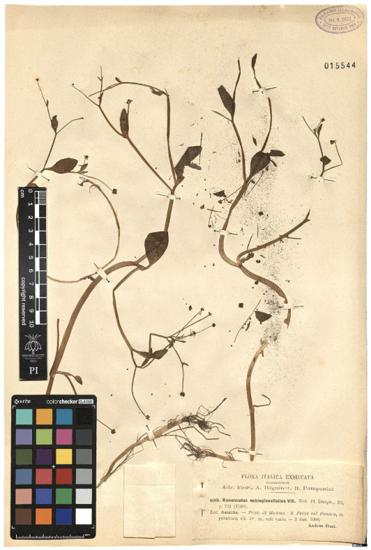 Figure 34