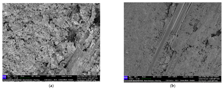 Figure 31