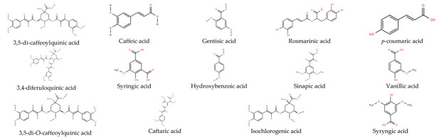 Figure 17