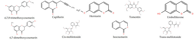 Figure 19