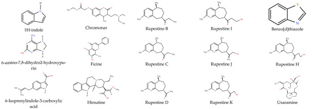 Figure 20