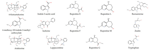 Figure 21