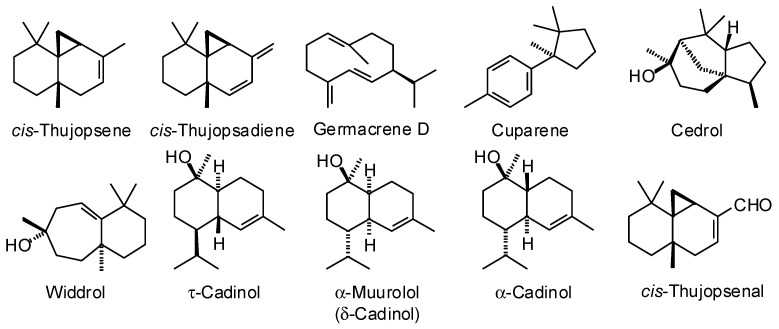 Figure 14