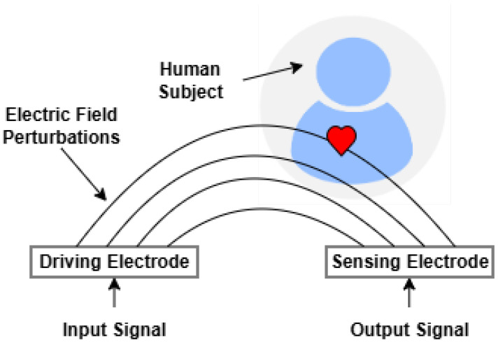 Figure 8