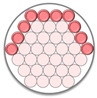 Figure 21
