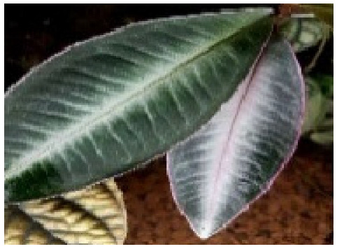 Figure 17