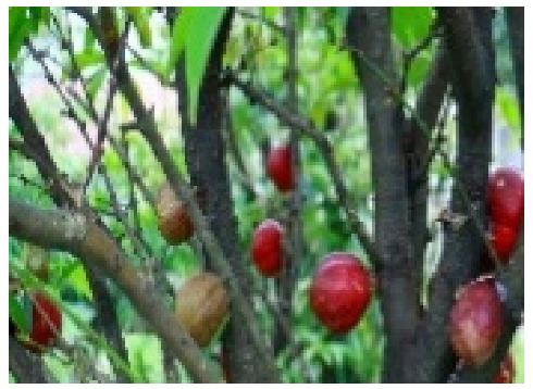 Figure 18
