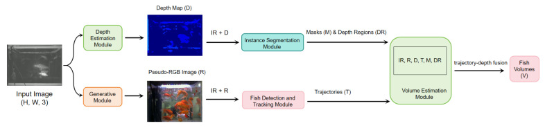 Figure 7