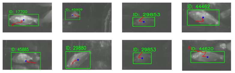 Figure 9