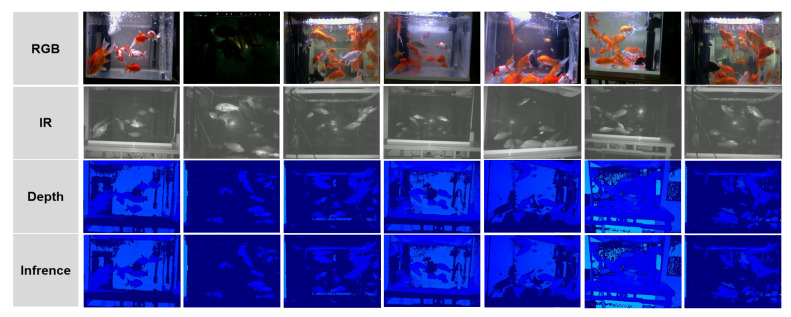 Figure 11