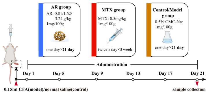Figure 11