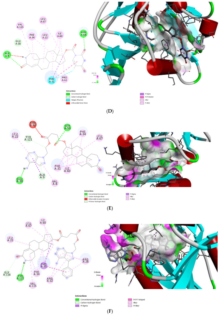 Figure 8
