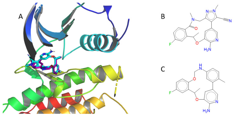 Figure 11
