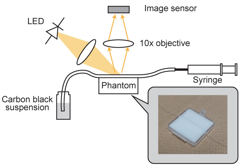 Figure 12