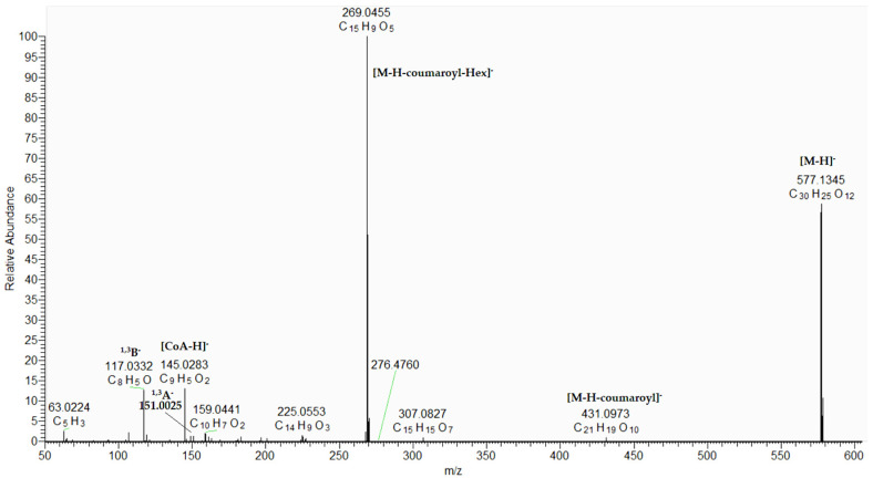 Figure 5