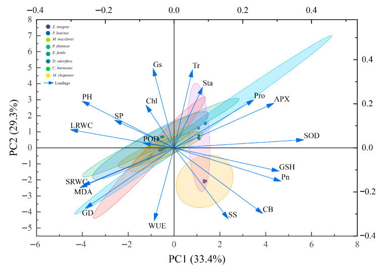 Figure 6
