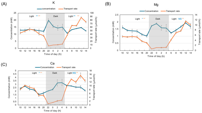 Figure 10