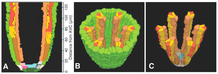 Figure 4
