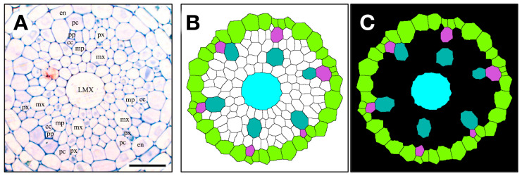 Figure 6