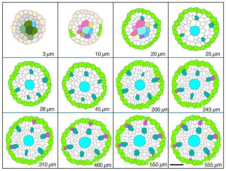 Figure 7