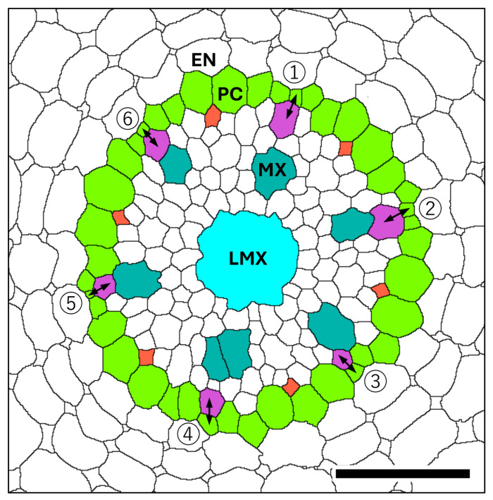 Figure 9