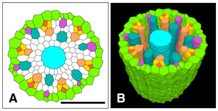 Figure 13