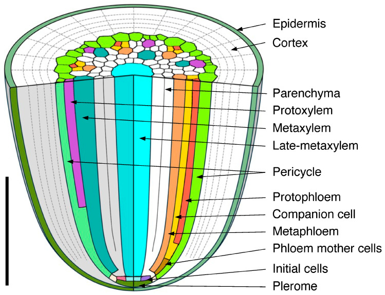 Figure 14